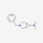 CAS 876138-70-4 molecular structure